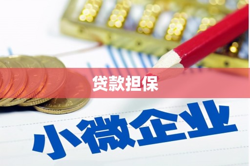 望牛墩贷款担保