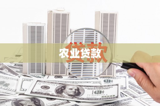 望牛墩农业贷款