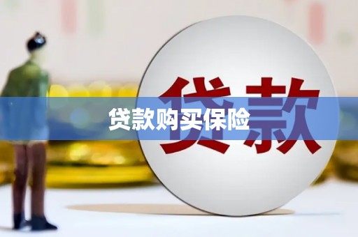 望牛墩贷款购买保险