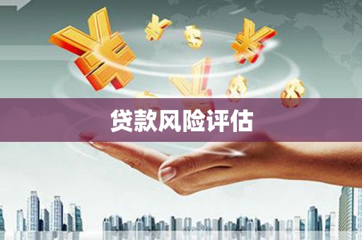 望牛墩贷款风险评估