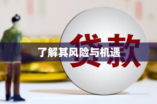 望牛墩了解其风险与机遇