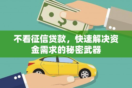 望牛墩不看征信贷款，快速解决资金需求的秘密武器