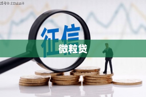 望牛墩微粒贷