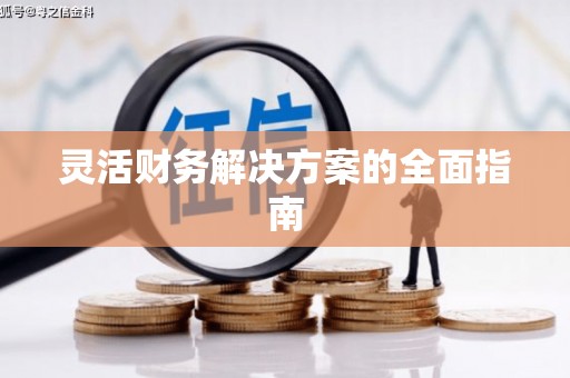 望牛墩灵活财务解决方案的全面指南