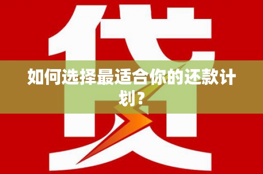 望牛墩如何选择最适合你的还款计划？