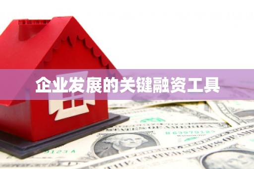望牛墩企业发展的关键融资工具