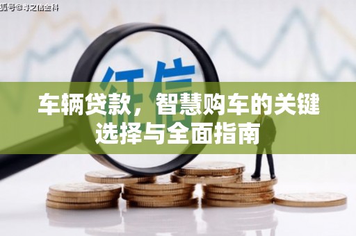 望牛墩车辆贷款，智慧购车的关键选择与全面指南