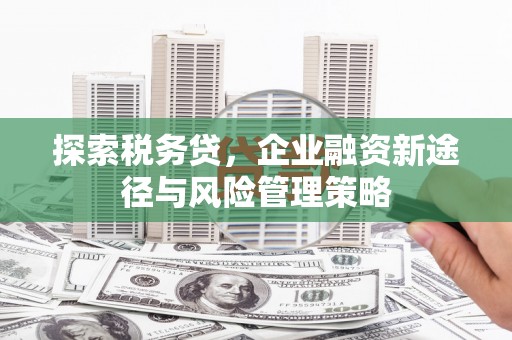 望牛墩探索税务贷，企业融资新途径与风险管理策略