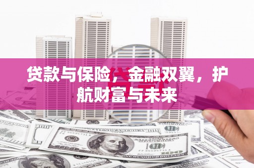 望牛墩贷款与保险，金融双翼，护航财富与未来