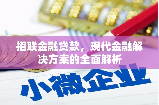 望牛墩招联金融贷款，现代金融解决方案的全面解析