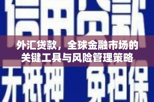 望牛墩外汇贷款，全球金融市场的关键工具与风险管理策略