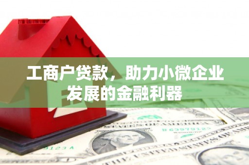 望牛墩工商户贷款，助力小微企业发展的金融利器