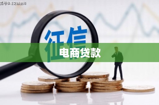 望牛墩电商贷款