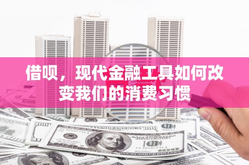望牛墩借呗，现代金融工具如何改变我们的消费习惯