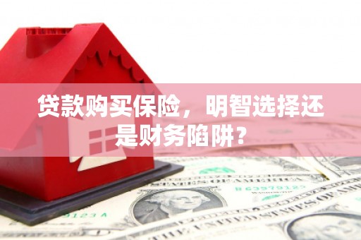 望牛墩贷款购买保险，明智选择还是财务陷阱？