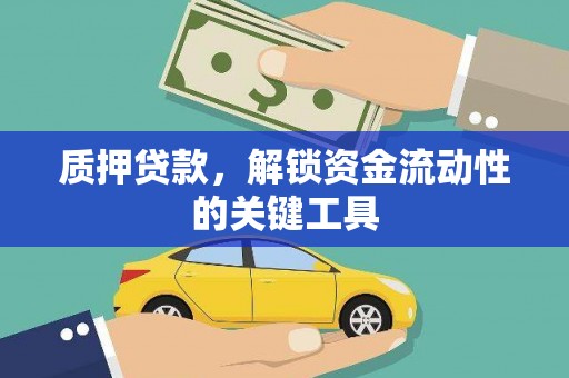 望牛墩质押贷款，解锁资金流动性的关键工具