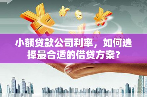 望牛墩小额贷款公司利率，如何选择最合适的借贷方案？