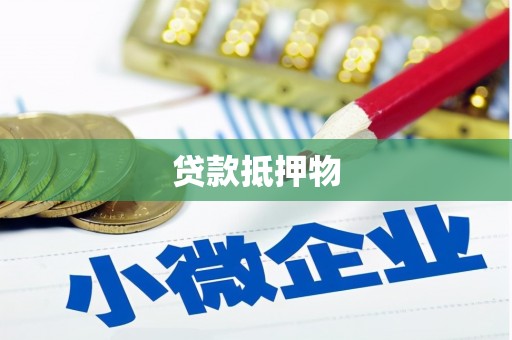 望牛墩贷款抵押物