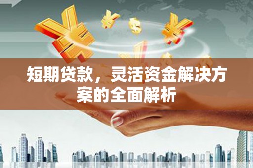 望牛墩短期贷款，灵活资金解决方案的全面解析
