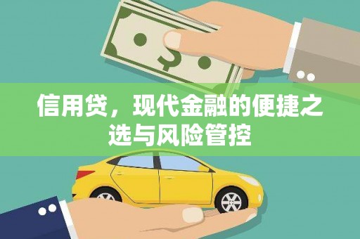 望牛墩信用贷，现代金融的便捷之选与风险管控