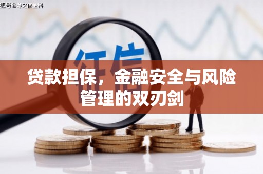 望牛墩贷款担保，金融安全与风险管理的双刃剑