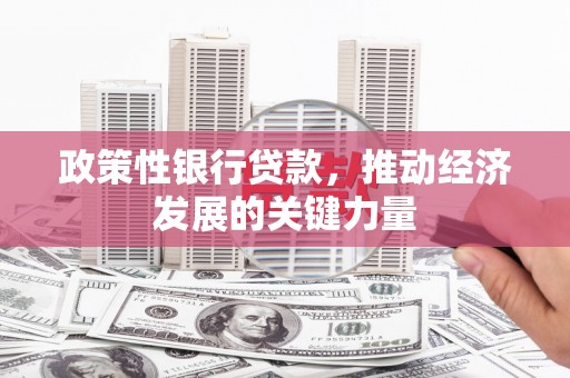 望牛墩政策性银行贷款，推动经济发展的关键力量