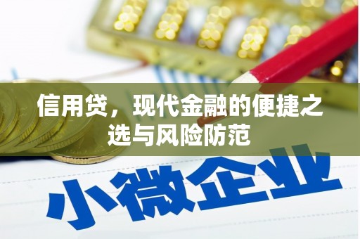 望牛墩信用贷，现代金融的便捷之选与风险防范