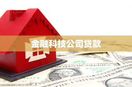 望牛墩金融科技公司贷款