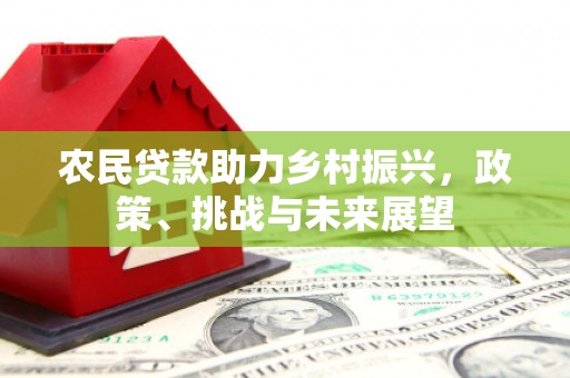 望牛墩农民贷款助力乡村振兴，政策、挑战与未来展望