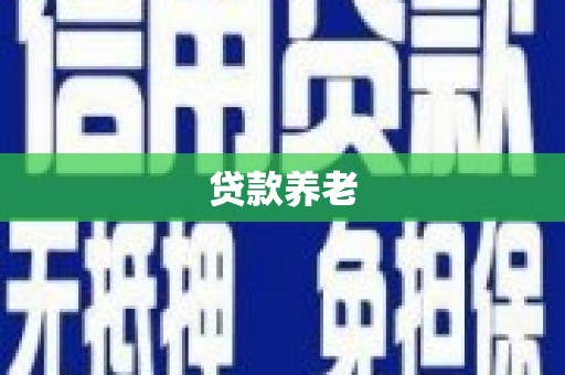 望牛墩贷款养老