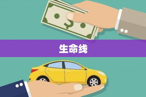 望牛墩生命线