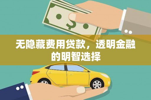 望牛墩无隐藏费用贷款，透明金融的明智选择