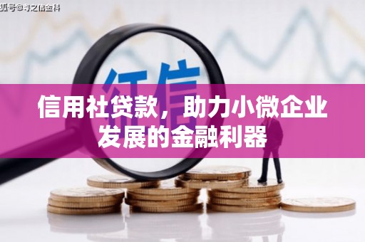 望牛墩信用社贷款，助力小微企业发展的金融利器