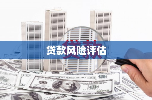 望牛墩贷款风险评估