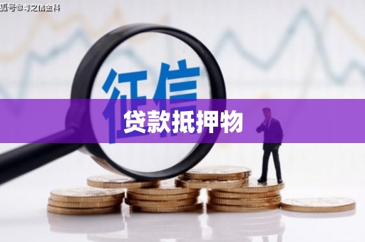 望牛墩贷款抵押物