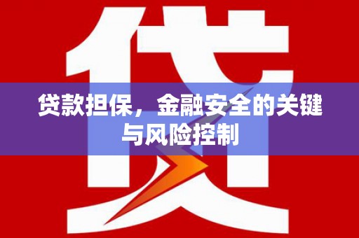 望牛墩贷款担保，金融安全的关键与风险控制