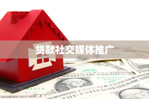 望牛墩贷款社交媒体推广