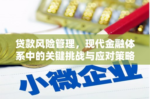望牛墩贷款风险管理，现代金融体系中的关键挑战与应对策略
