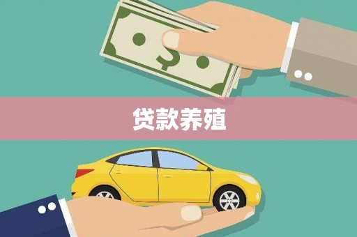 望牛墩贷款养殖