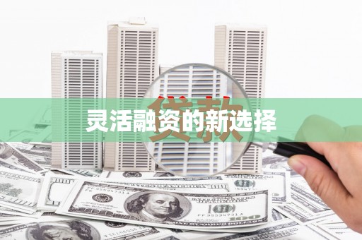 望牛墩灵活融资的新选择