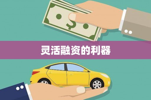 望牛墩灵活融资的利器