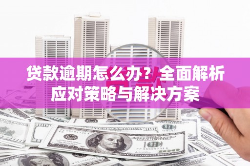 望牛墩贷款逾期怎么办？全面解析应对策略与解决方案