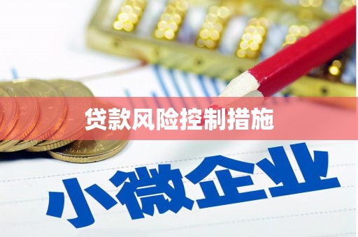 望牛墩贷款风险控制措施