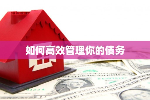望牛墩如何高效管理你的债务