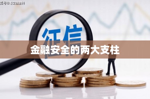 望牛墩金融安全的两大支柱