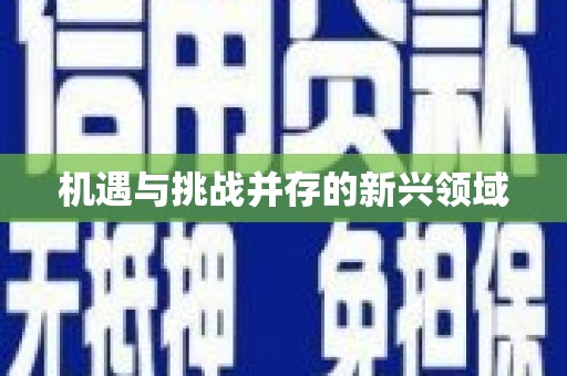 望牛墩机遇与挑战并存的新兴领域