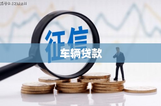 望牛墩车辆贷款