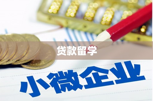 望牛墩贷款留学